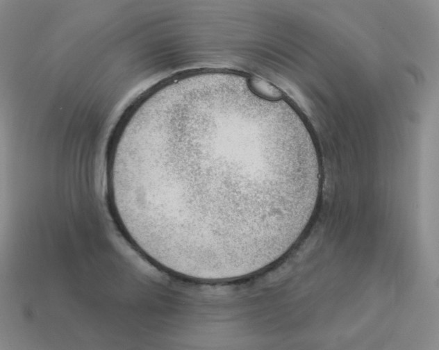 X0000113901080200910221433