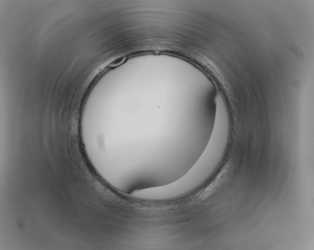 X0000113901081200910221433