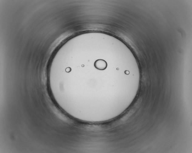 X0000113901082200910221433