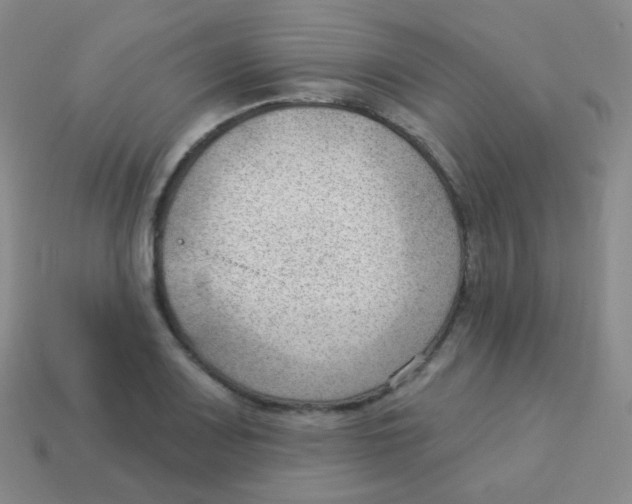 X0000113901083200910221433