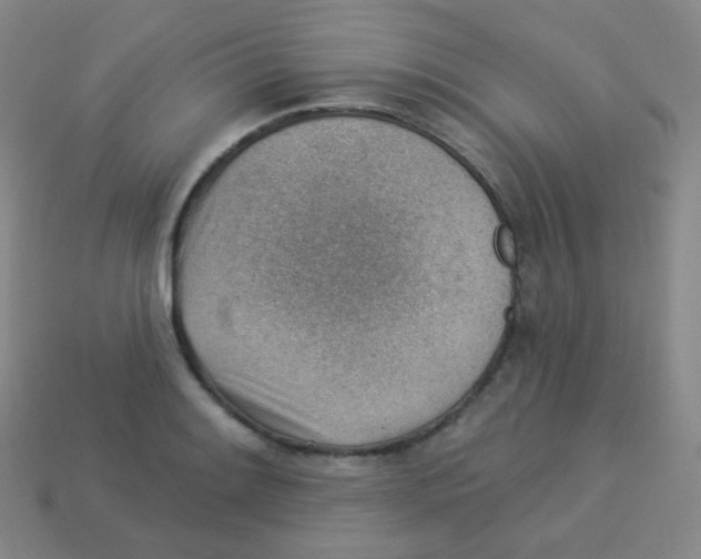 X0000113901084200910221433