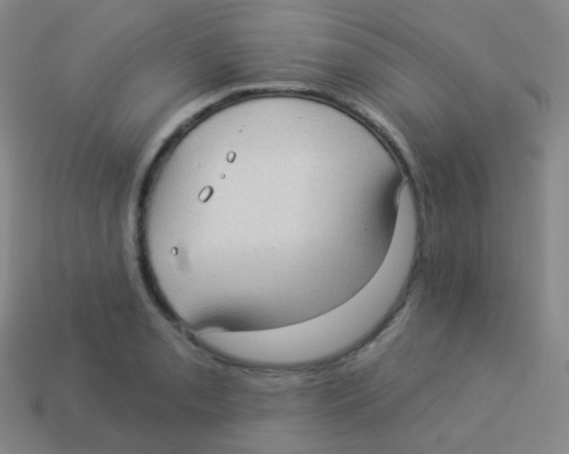 X0000113901085200910221433