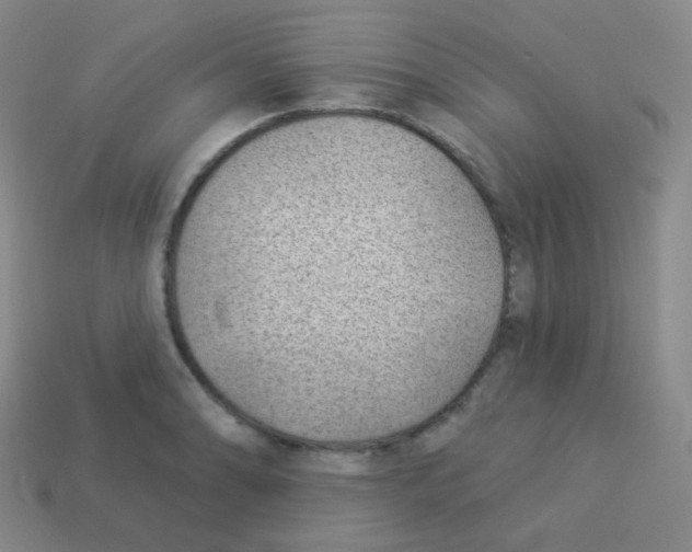 X0000113901086200910221433