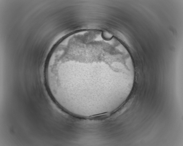 X0000113901087200910221433