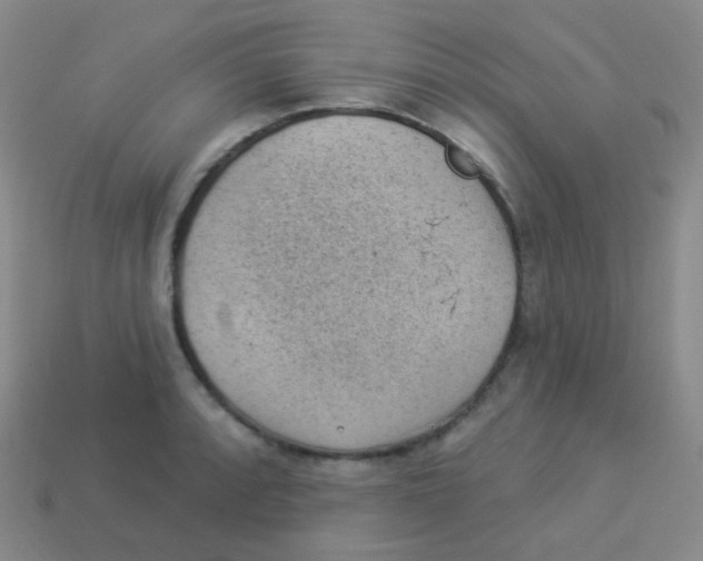 X0000113901088200910221433