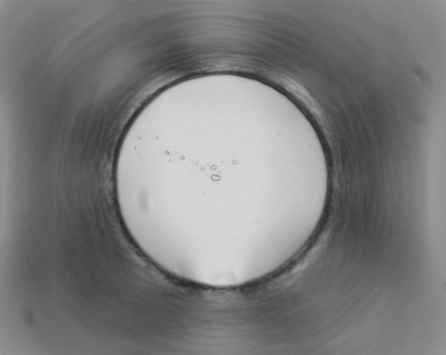 X0000113901089200910221433