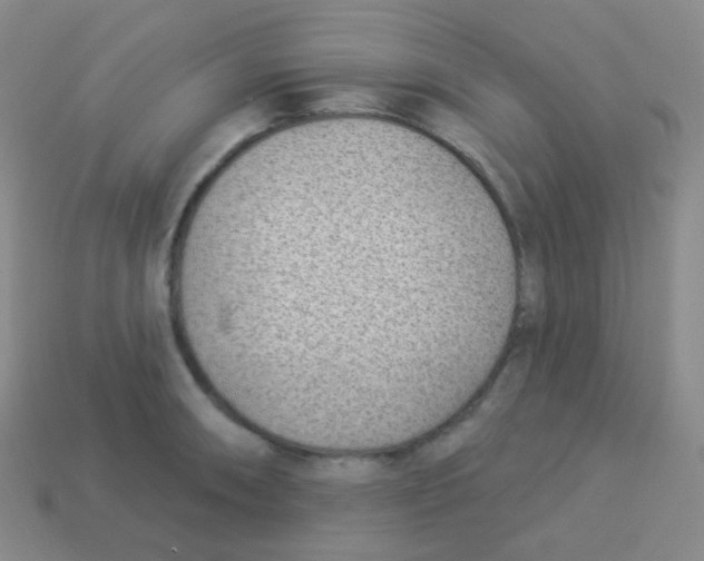 X0000113901090200910221433