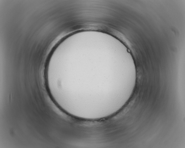 X0000113901091200910221433