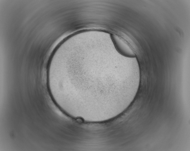 X0000113901092200910221433