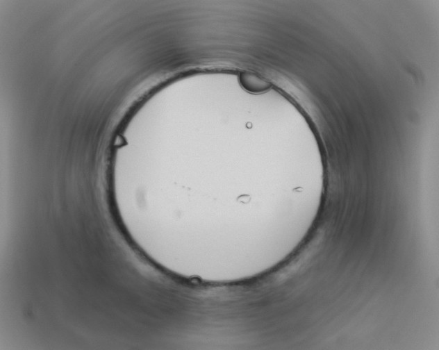 X0000113901093200910221433