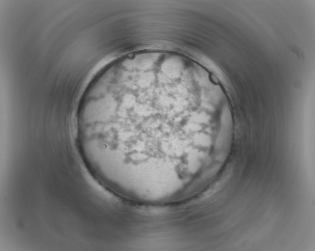 X0000113901095200910221433