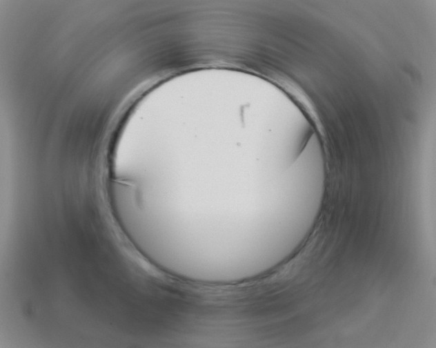 X0000113901096200910221433