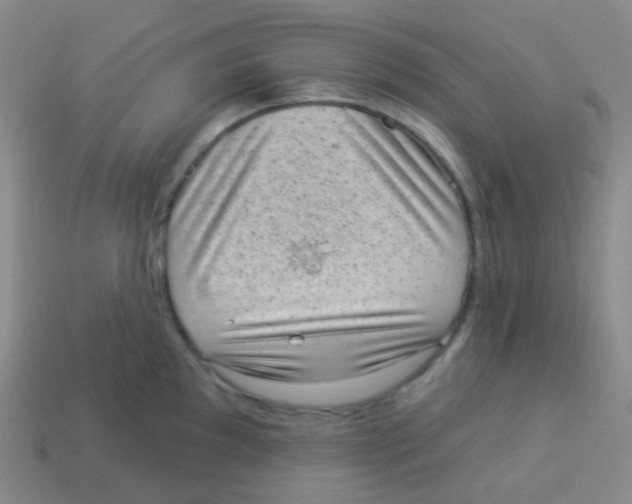 X0000113901097200910221433