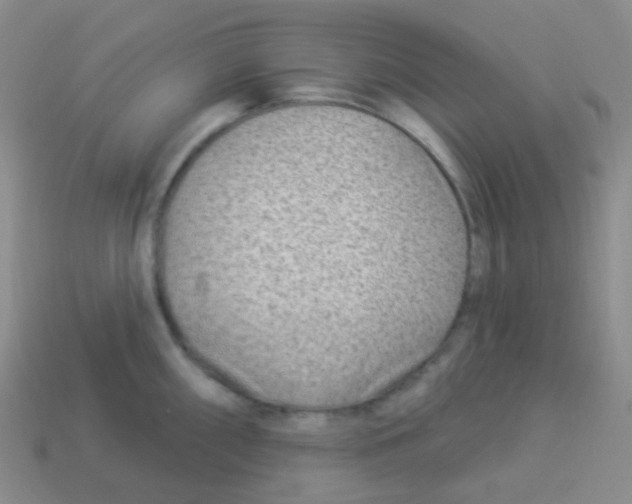 X0000113901098200910221433