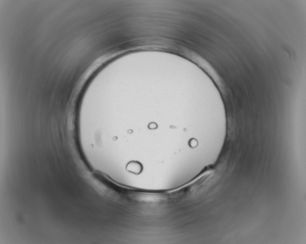 X0000113901099200910221433