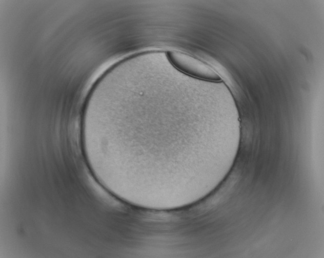 X0000113901100200910221433