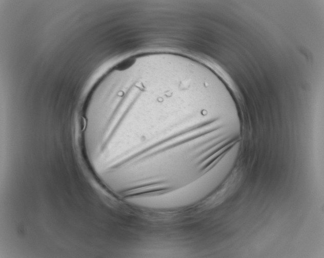 X0000113901101200910221433