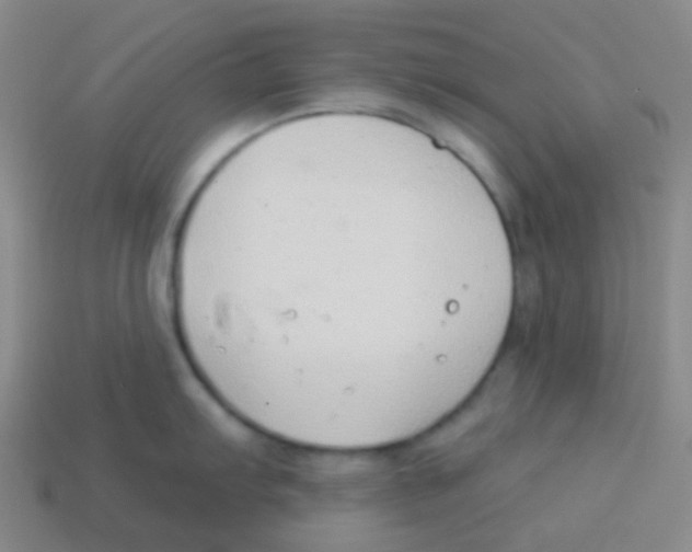 X0000113901103200910221433