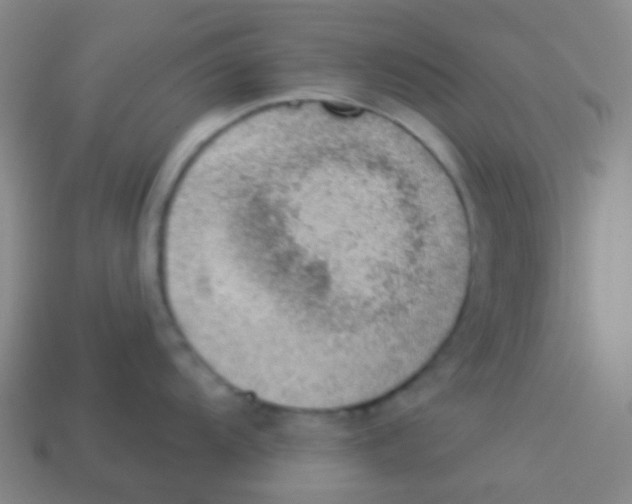 X0000113901104200910221433