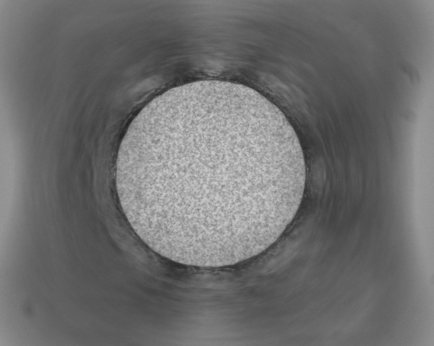 X0000113901105200910221432