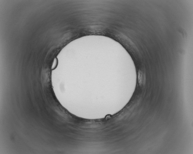 X0000113901107200910221432