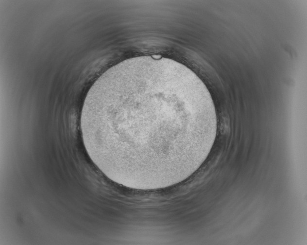 X0000113901108200910221432