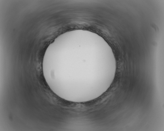 X0000113901109200910221432