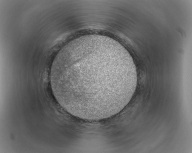 X0000113901110200910221432