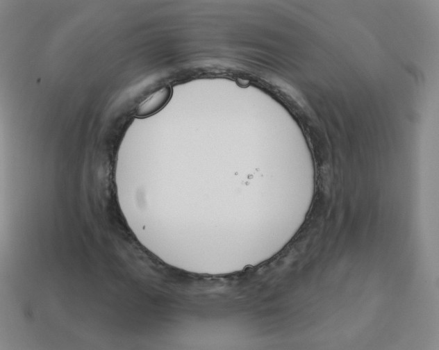 X0000113901111200910221432