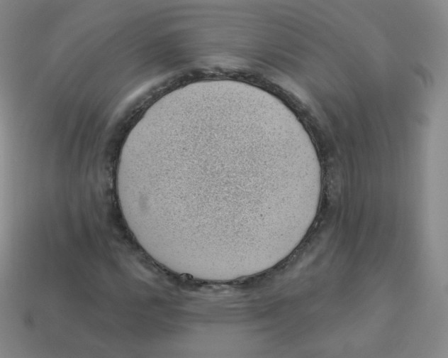 X0000113901112200910221432