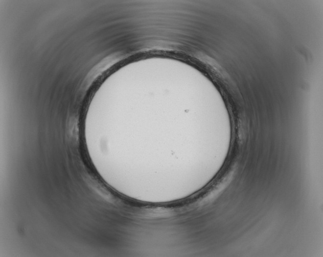 X0000113901113200910221432