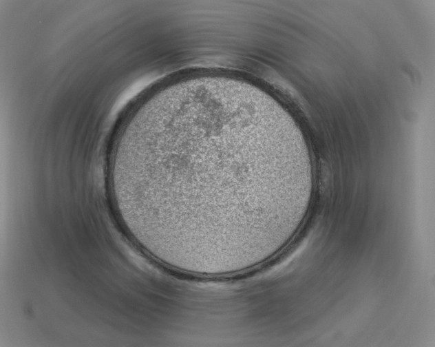 X0000113901114200910221432