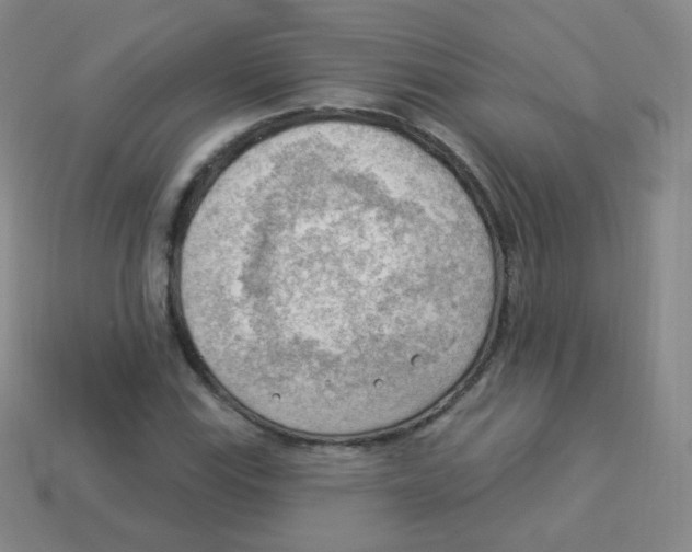 X0000113901115200910221432