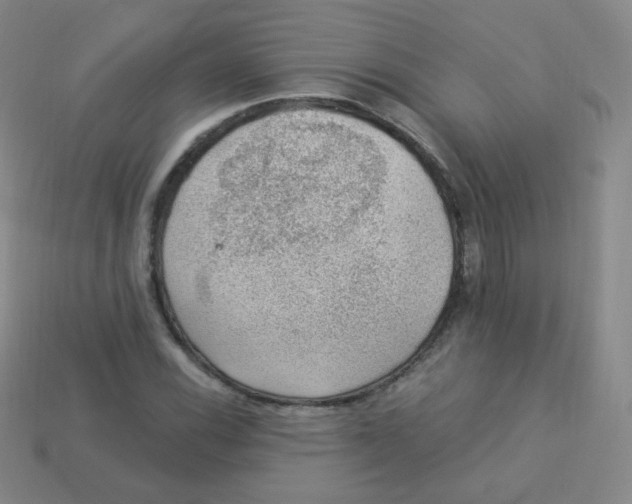 X0000113901116200910221432