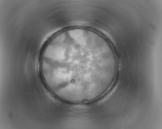 X0000113901117200910221432