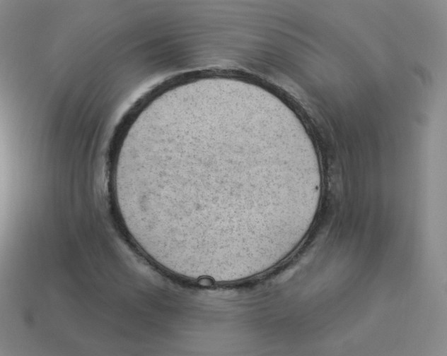 X0000113901118200910221432