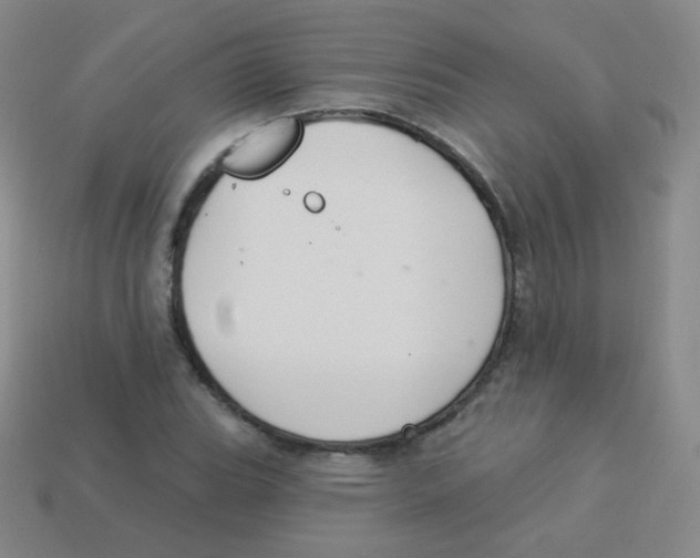 X0000113901119200910221432