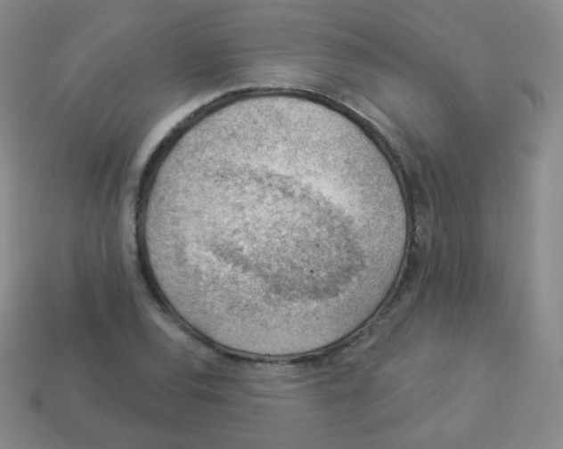 X0000113901120200910221432