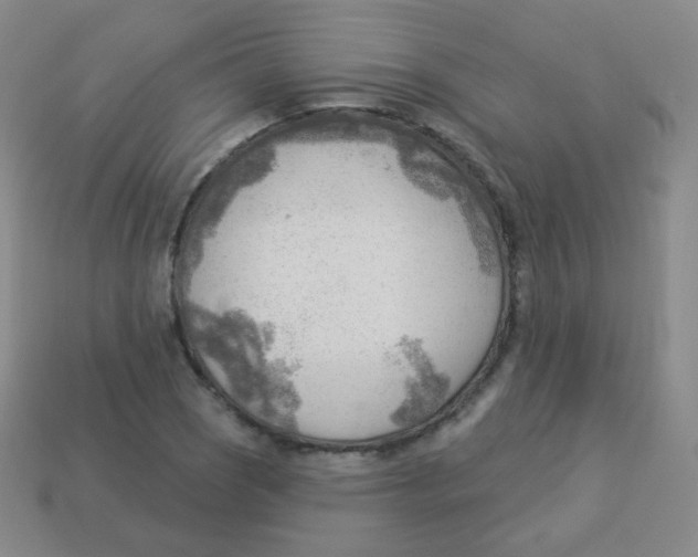 X0000113901121200910221432