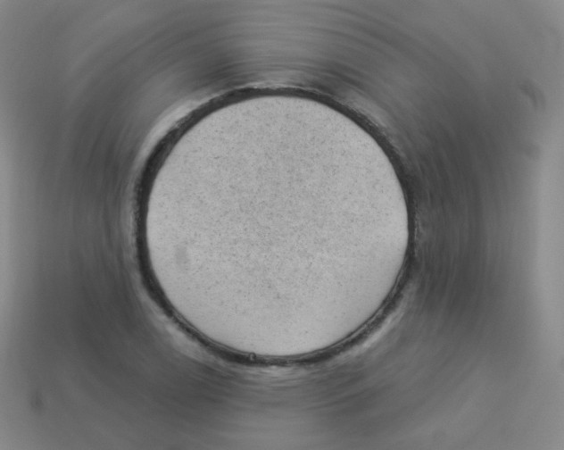 X0000113901122200910221432