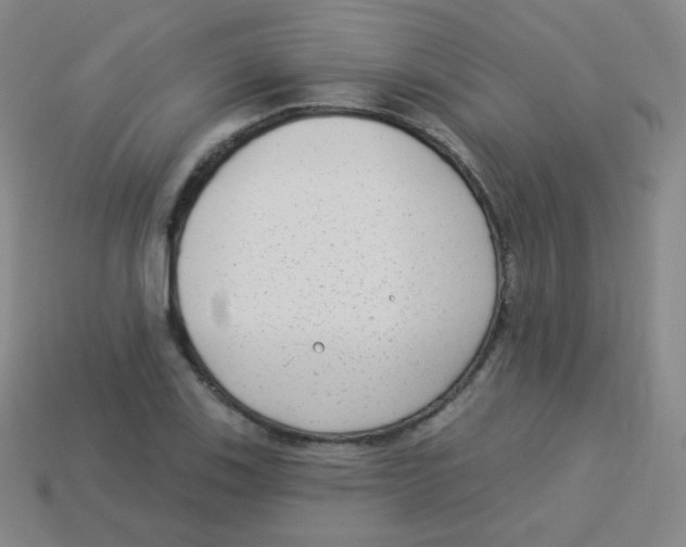 X0000113901123200910221432