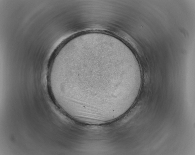 X0000113901124200910221432