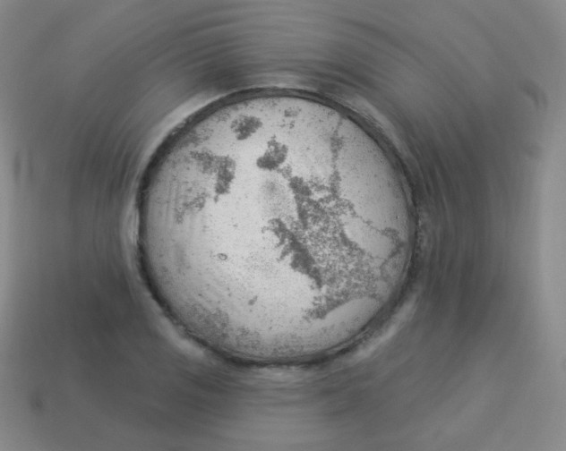 X0000113901125200910221432