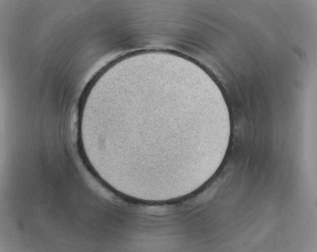 X0000113901126200910221432