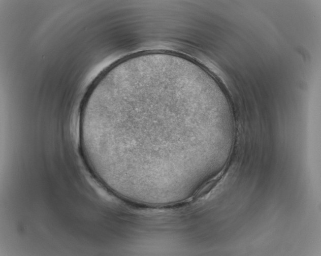 X0000113901127200910221432