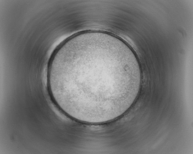 X0000113901128200910221432