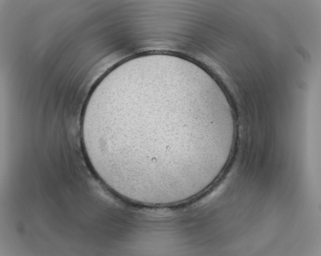 X0000113901129200910221432