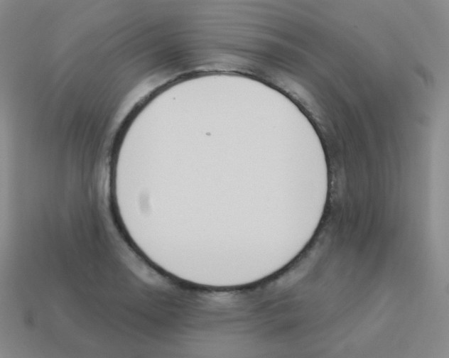 X0000113901130200910221432