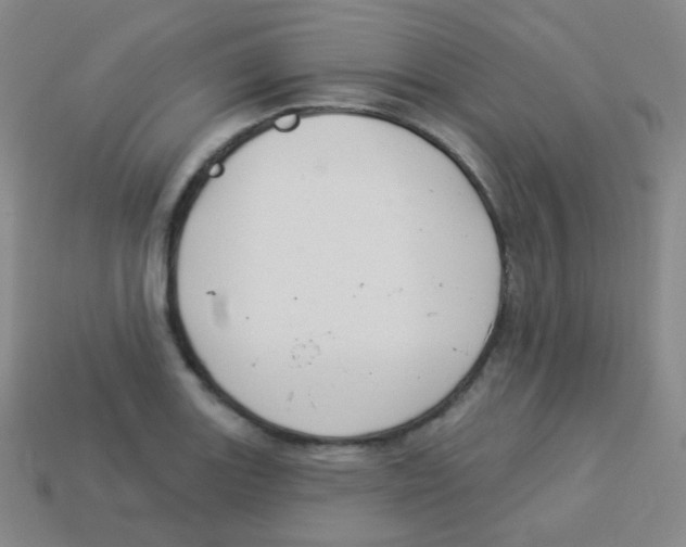 X0000113901131200910221433