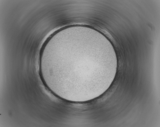 X0000113901132200910221433